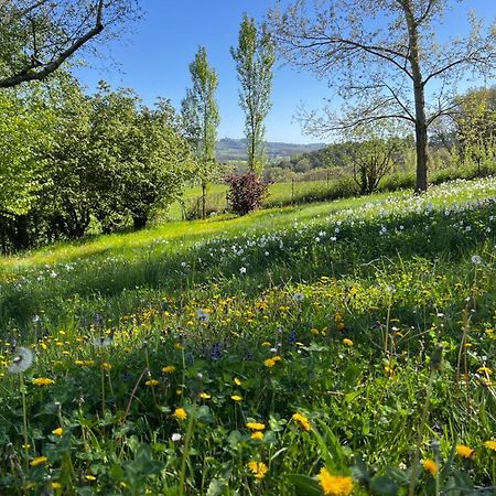 Bergerie Bed & Breakfast Montjustin Екстериор снимка