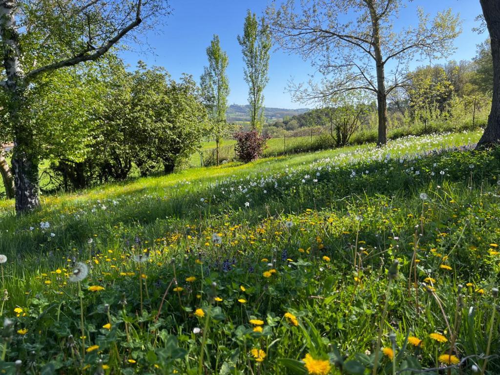 Bergerie Bed & Breakfast Montjustin Екстериор снимка